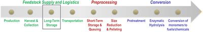 Review on Bioenergy Storage Systems for Preserving and Improving Feedstock Value